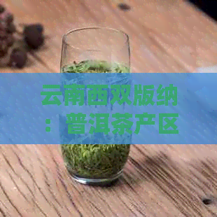 云南西双版纳：普洱茶产区的品质与特点解析