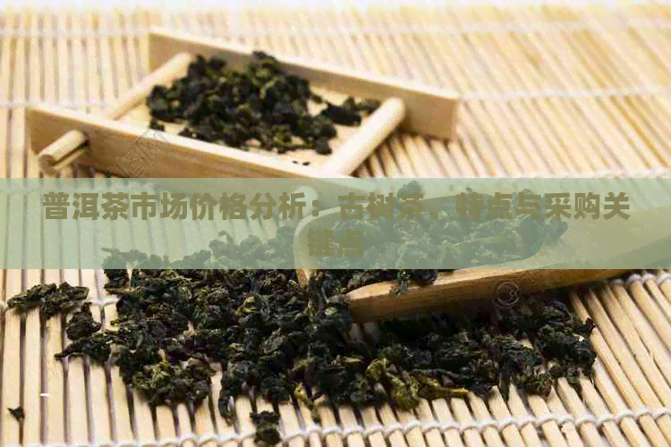 普洱茶市场价格分析：古树茶、特点与采购关键点