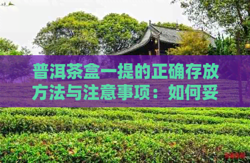 普洱茶盒一提的正确存放方法与注意事项：如何妥善保护普洱茶饼和普洱茶箱子