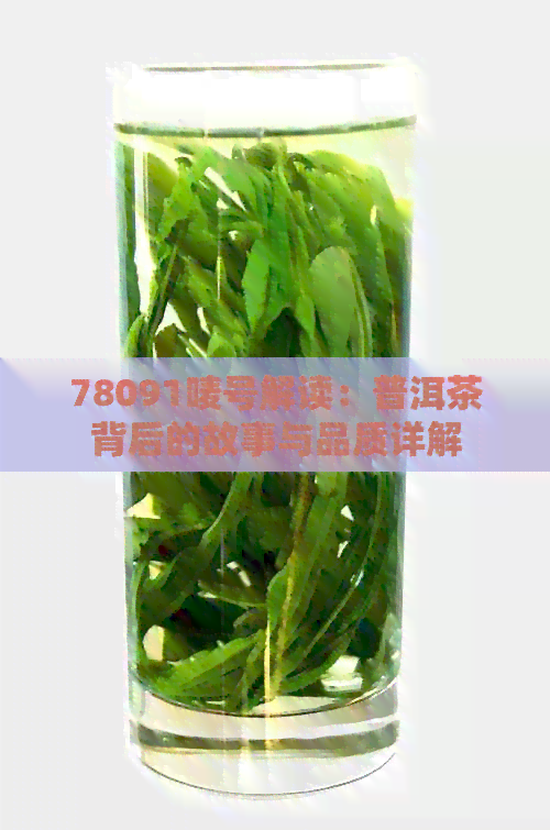 78091唛号解读：普洱茶背后的故事与品质详解