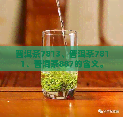 普洱茶7813、普洱茶7811、普洱茶887的含义。