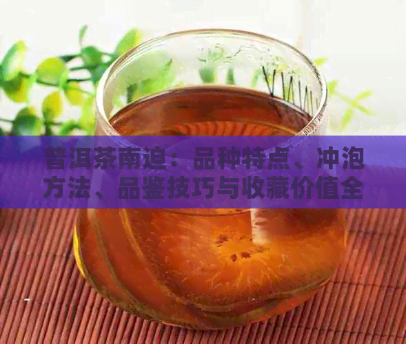 普洱茶南迫：品种特点、冲泡方法、品鉴技巧与收藏价值全方位解析