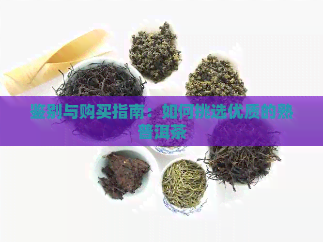 鉴别与购买指南：如何挑选优质的熟普洱茶