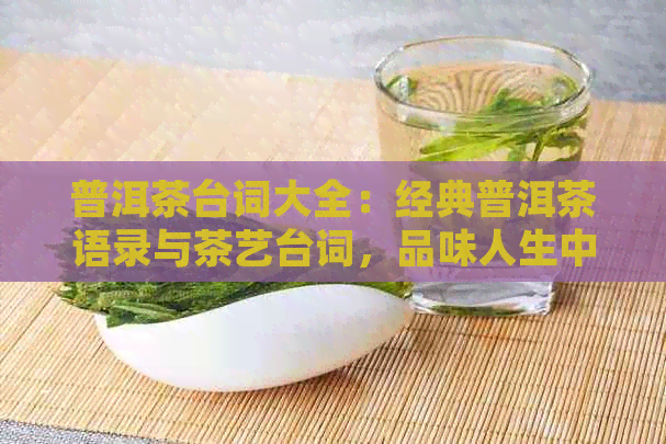 普洱茶台词大全：经典普洱茶语录与茶艺台词，品味人生中的独特韵味。