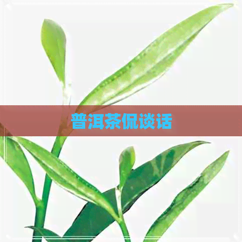 普洱茶侃谈话