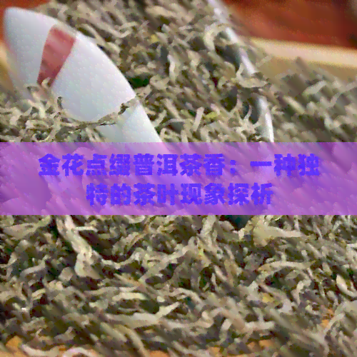 金花点缀普洱茶香：一种独特的茶叶现象探析