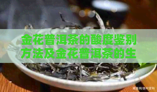 金花普洱茶的酸度鉴别方法及金花普洱茶的生熟区别