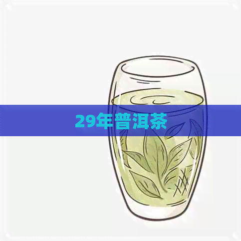 29年普洱茶