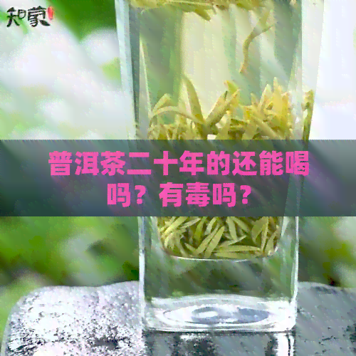 普洱茶二十年的还能喝吗？有吗？