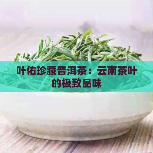 叶佑珍藏普洱茶：云南茶叶的极致品味