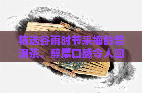 精选谷雨时节采摘的普洱茶，醇厚口感令人回味无穷