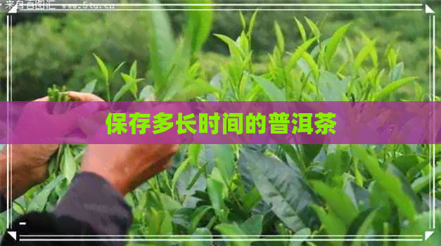 保存多长时间的普洱茶