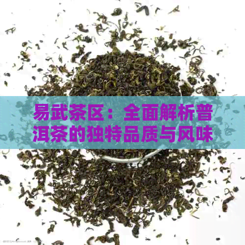 易武茶区：全面解析普洱茶的独特品质与风味