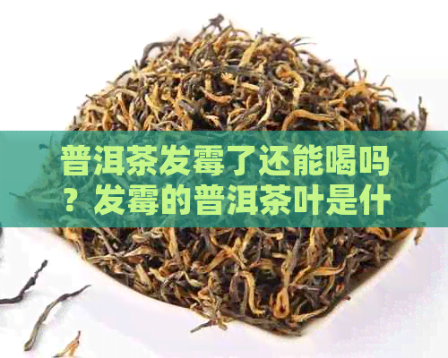 普洱茶发霉了还能喝吗？发霉的普洱茶叶是什么样子？普洱茶发霉怎么办？