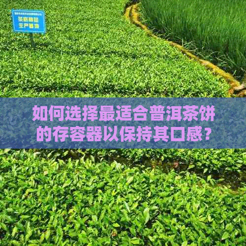 如何选择最适合普洱茶饼的存容器以保持其口感？