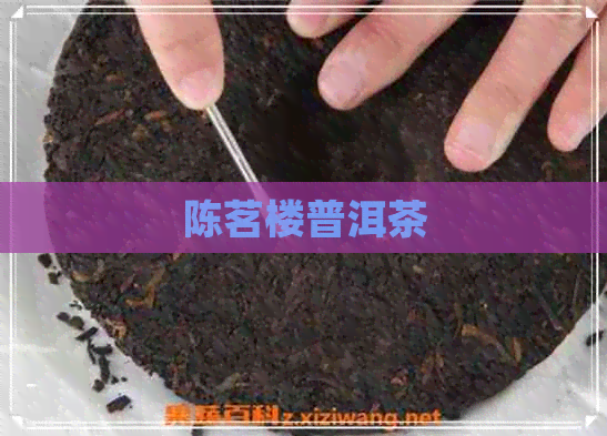 陈茗楼普洱茶