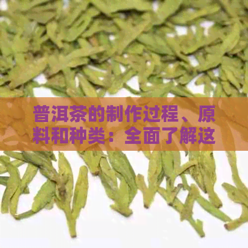 普洱茶的制作过程、原料和种类：全面了解这种中国名茶