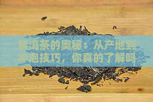 普洱茶的奥秘：从产地到冲泡技巧，你真的了解吗？