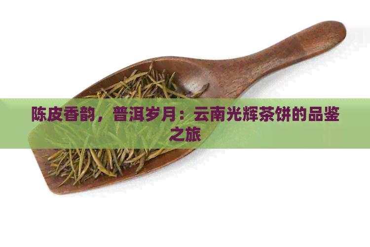 陈皮香韵，普洱岁月：云南光辉茶饼的品鉴之旅