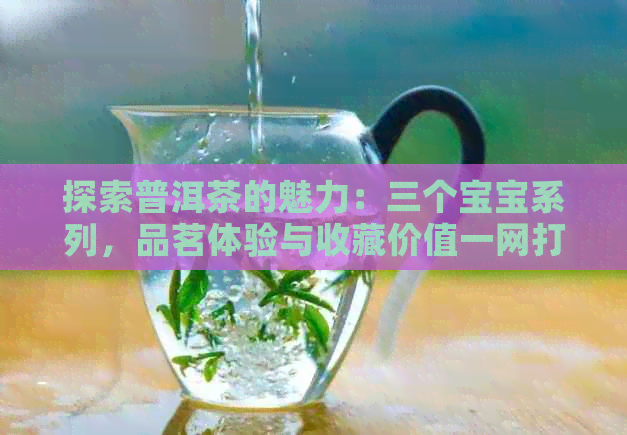 探索普洱茶的魅力：三个宝宝系列，品茗体验与收藏价值一网打尽