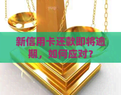 新信用卡还款即将逾期，如何应对？