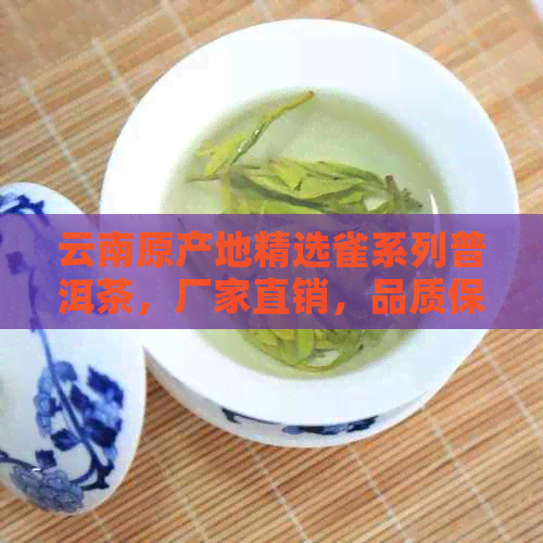 云南原产地精选雀系列普洱茶，厂家直销，品质保证