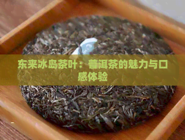 东来冰岛茶叶：普洱茶的魅力与口感体验