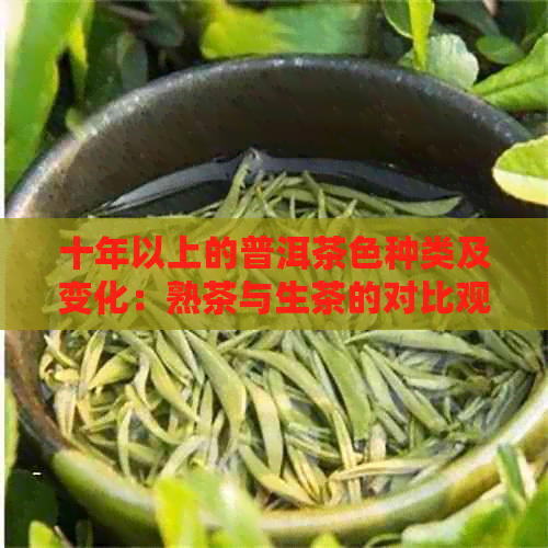 十年以上的普洱茶色种类及变化：熟茶与生茶的对比观察