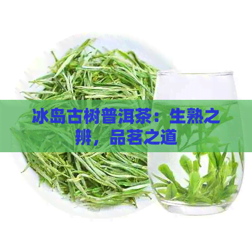 冰岛古树普洱茶：生熟之辨，品茗之道