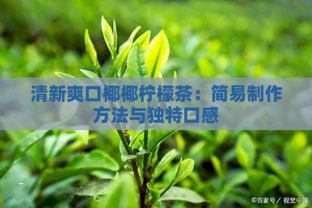 清新爽口椰椰柠檬茶：简易制作方法与独特口感