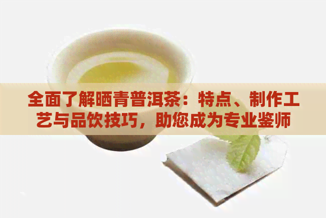 全面了解晒青普洱茶：特点、制作工艺与品饮技巧，助您成为专业鉴师