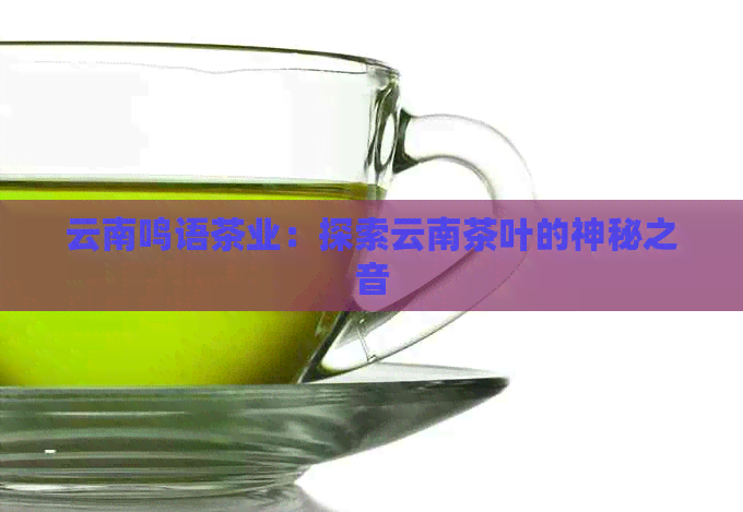 云南鸣语茶业：探索云南茶叶的神秘之音