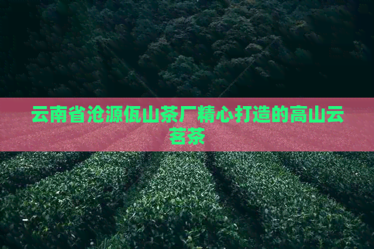 云南省沧源佤山茶厂精心打造的高山云茗茶