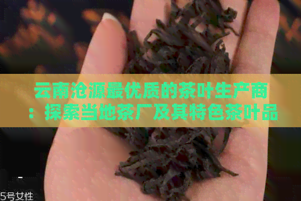 云南沧源更优质的茶叶生产商：探索当地茶厂及其特色茶叶品种