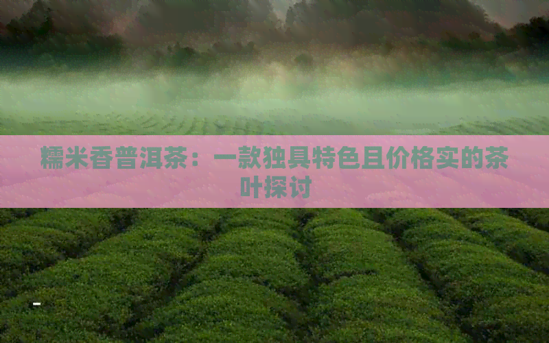 糯米香普洱茶：一款独具特色且价格实的茶叶探讨