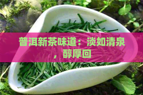 普洱新茶味道：淡如清泉，醇厚回