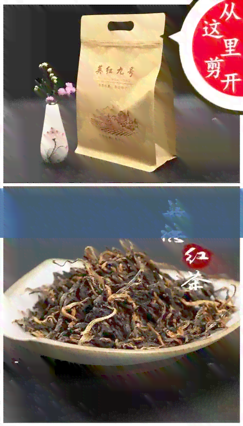 易武普洱茶树王：品种特点、种植环境、制作工艺与品鉴方法全方位解析