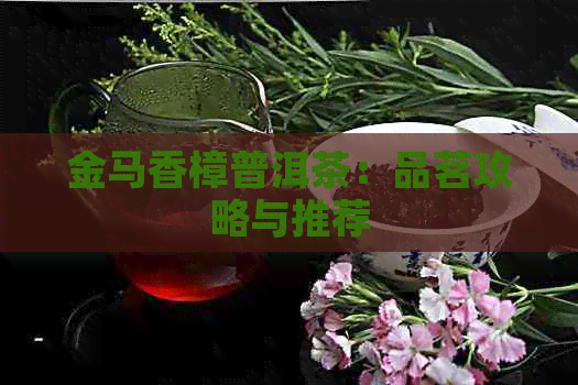 金马香樟普洱茶：品茗攻略与推荐