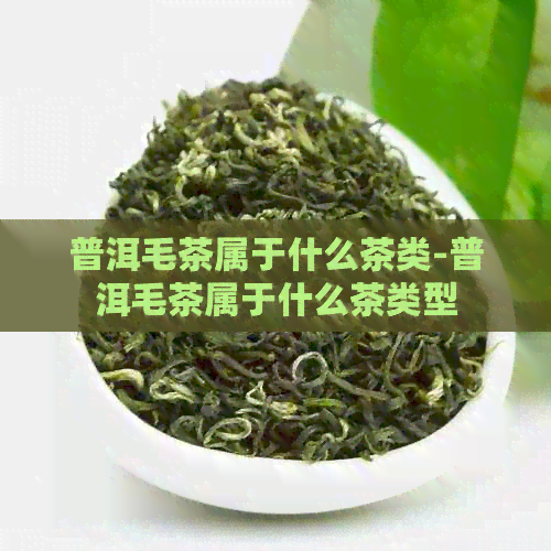 普洱毛茶属于什么茶类-普洱毛茶属于什么茶类型