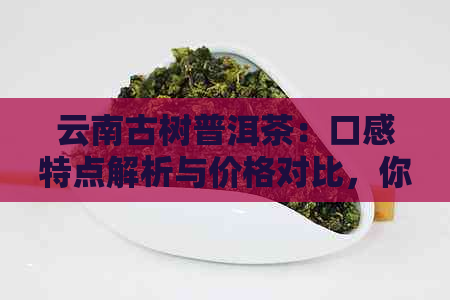 云南古树普洱茶：口感特点解析与价格对比，你会喜欢吗？