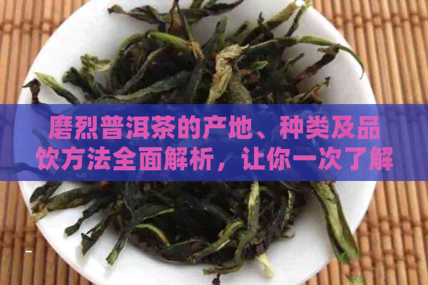 磨烈普洱茶的产地、种类及品饮方法全面解析，让你一次了解