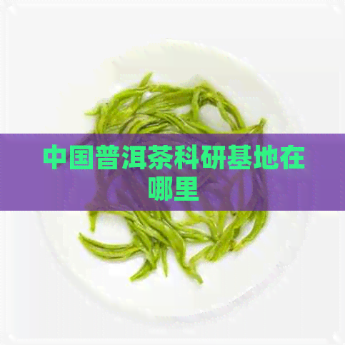 中国普洱茶科研基地在哪里