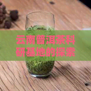 云南普洱茶科研基地的探索与研究：全面了解中国茶叶科技发展的重要阵地