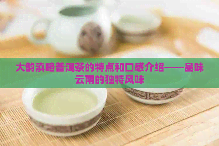 大韵滇略普洱茶的特点和口感介绍——品味云南的独特风味