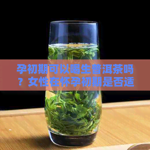 孕初期可以喝生普洱茶吗？女性在怀孕初期是否适宜饮用生普洱茶？