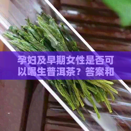 孕妇及早期女性是否可以喝生普洱茶？答案和注意事项全解析