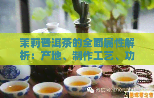 茉莉普洱茶的全面属性解析：产地、制作工艺、功效与适宜饮用方式