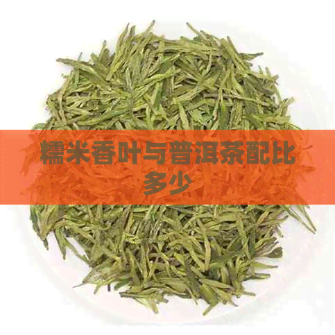 糯米香叶与普洱茶配比多少