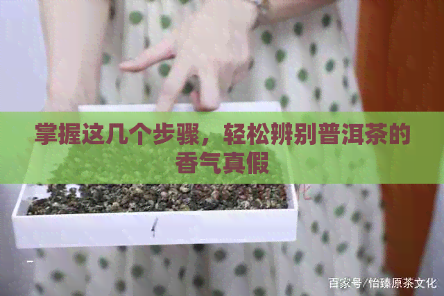 掌握这几个步骤，轻松辨别普洱茶的香气真假