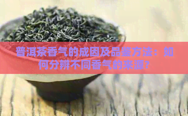 普洱茶香气的成因及品鉴方法：如何分辨不同香气的来源？